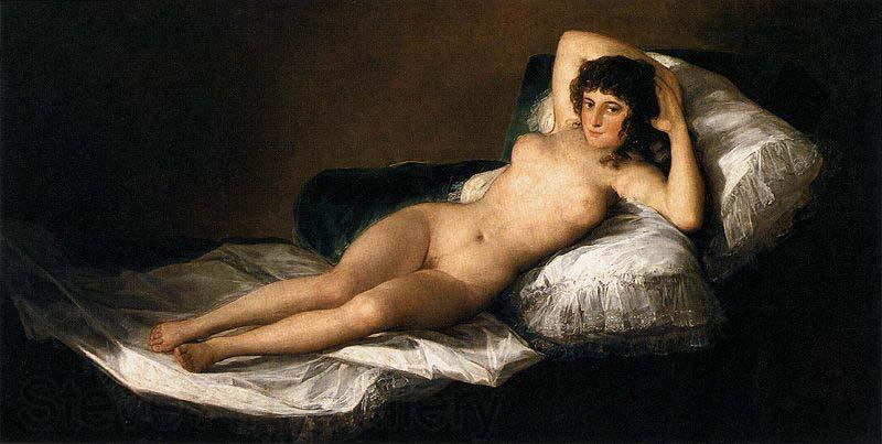 Francisco Goya The Nude Maja